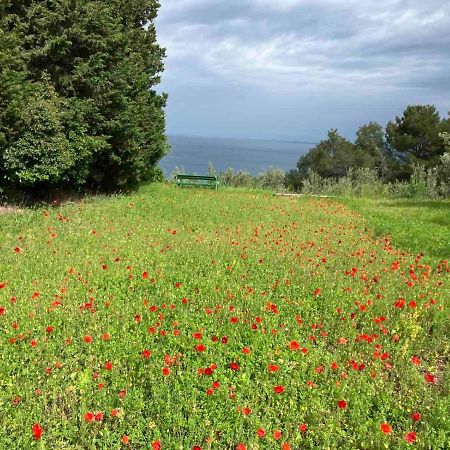 Istrian Green House Portoroz Exterior foto