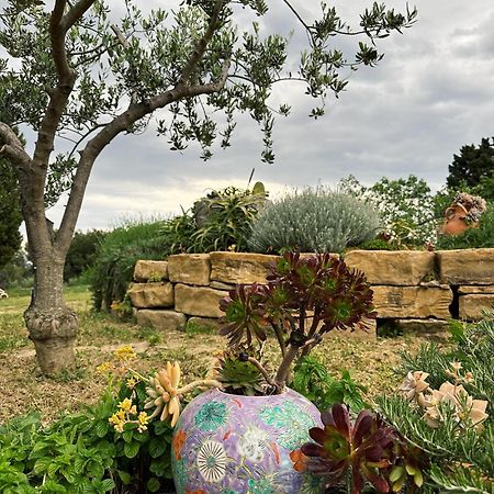 Istrian Green House Portoroz Exterior foto