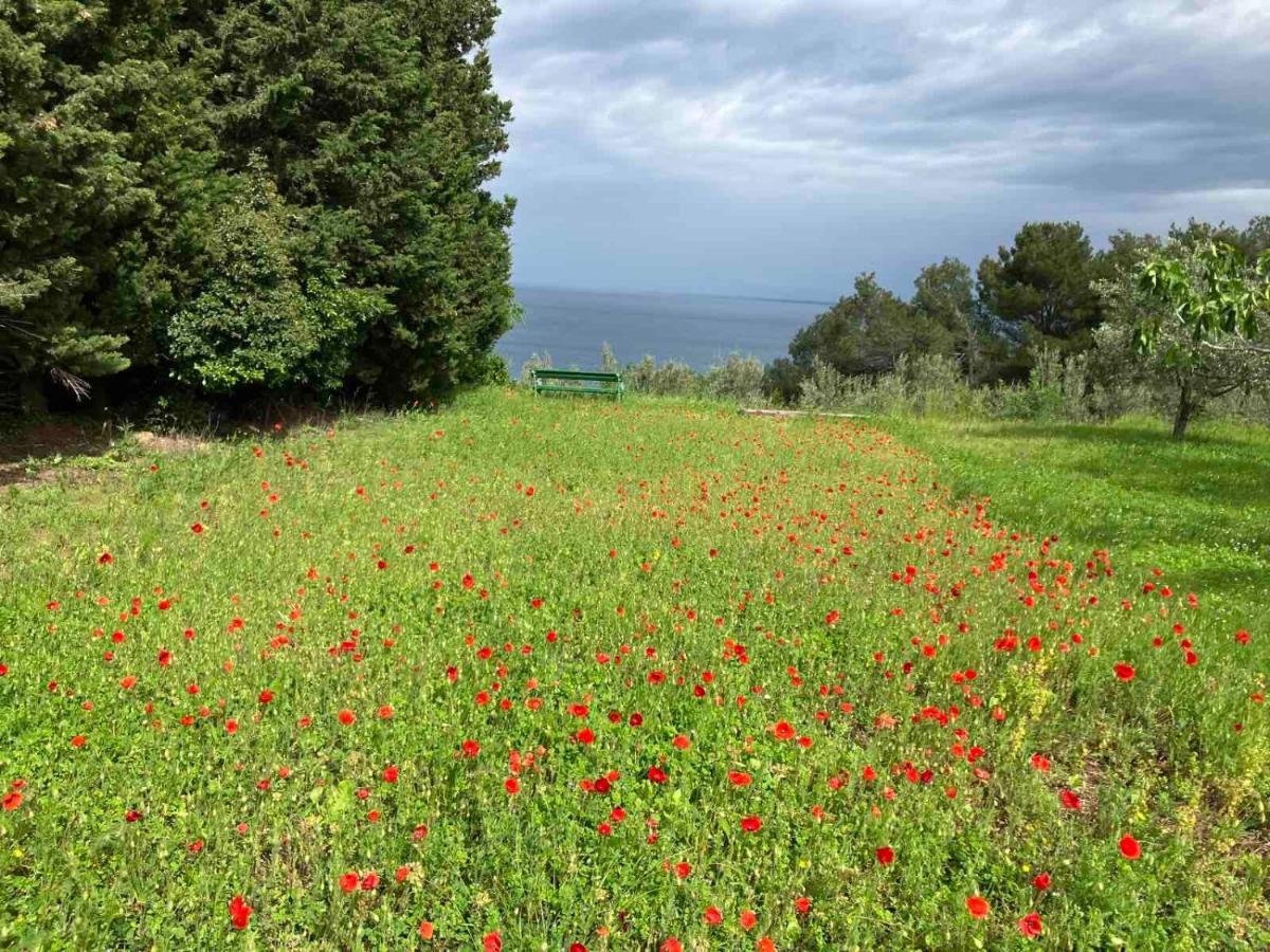 Istrian Green House Portoroz Exterior foto