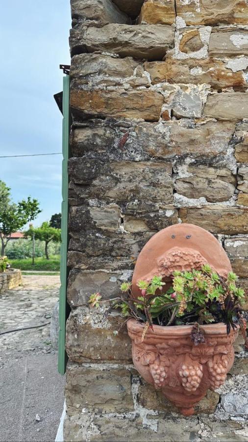 Istrian Green House Portoroz Exterior foto